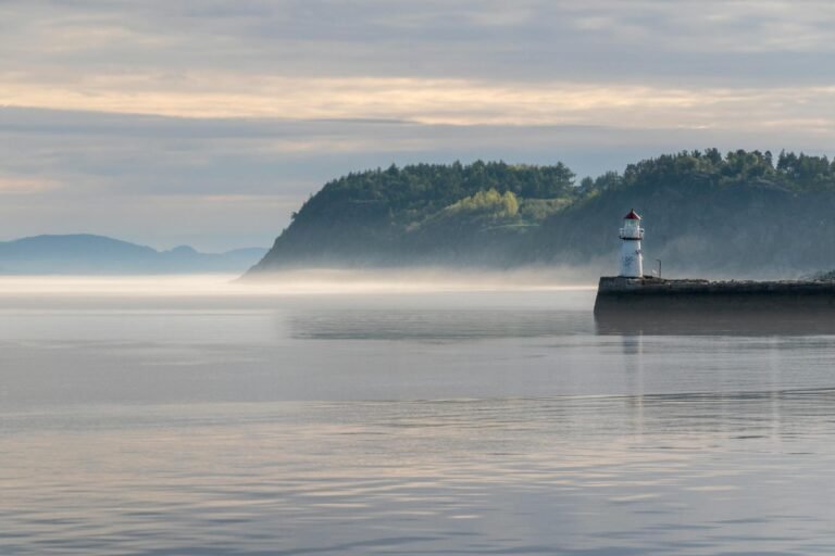 SITREP: Where We Are on the Arc