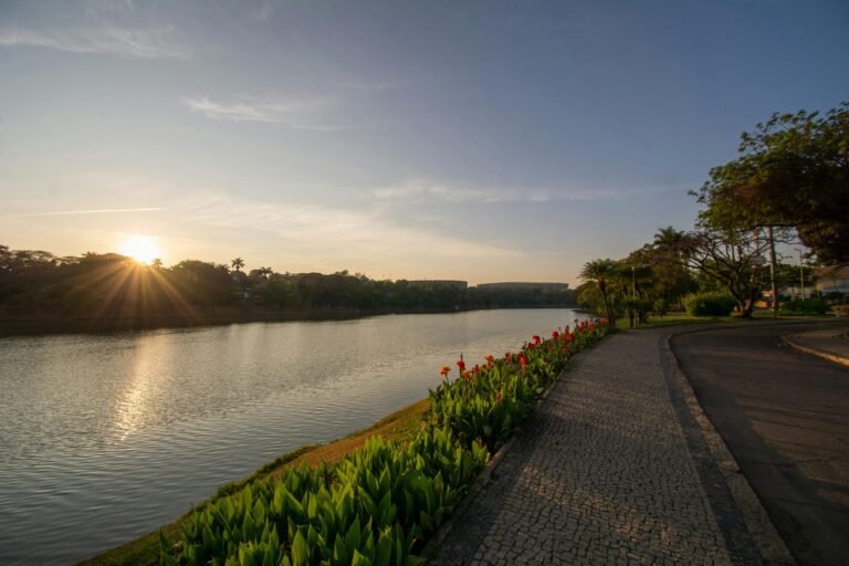 The Arc Chart — How to Read It